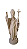 São João Paulo II - 16,2 cm Natural. - Imagem 1