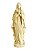 Nossa Senhora de Lourdes - 19 - cm - Imagem 1