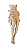 Corpo de Cristo - 21,5 cm. - Imagem 3