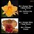 Orange Show Cloud Forest X Bouton Dor Lewis (3074) - Imagem 1