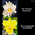 Pastoral Innocence X Campobello Mendenhall (3275) - Imagem 1