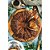 Aroma Rum Jamaica 30ml - Mix - Imagem 2