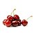 Aroma Cereja 30ml - Mix - Imagem 2