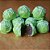 Corante em Gel para Chocolate Verde 12g - Mix - Imagem 2