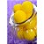 Corante Líquido Amarelo 10ml - Arcolor - Imagem 2