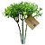 Pick Mini Folhas de Eucalipto Verde - Imagem 1