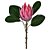Protea Rosa Escuro - Imagem 1