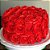 Corante Soft Gel Vermelho Natal  25g - Mix - Imagem 2