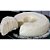 Leite de Coco Menina 500ml - Imagem 2