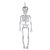 Esqueleto Decorativo Prata - Halloween - Imagem 1