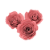 Topo de Bolo Rosas P Rosa 3un - Amora - Imagem 1