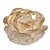 Forma Magnolia Dourado 30un - Decora Doces - Imagem 1