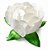 Forma Princesa Branco 30un - Decora Doces - Imagem 1