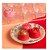 Forma Para Chocolate Profissional Rosa 20g - Blue Star - Imagem 2