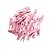 Mini Pregador Rosa 3,5cm 50un - Art Lille - Imagem 1