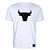 Camiseta Masculina Chicago Bulls NBA 3D Logo Branco - Imagem 1