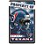 Placa Decorativa 18x30cm Houston Texans NFL - Imagem 1