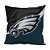 Almofada Philadelphia Eagles NFL Big Logo Futebol Americano - Imagem 1