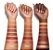 Paleta de Sombras Jaclyn Hill -Morphe - Imagem 3