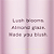 Victoria's Secret Body Splash - Velvet Petals - Imagem 2