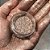 Glitter Lira - Fand - Imagem 1