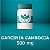 Garcinia cambogia 500mg - Imagem 1