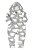 Macacão Manga Longa em Pelo Cinza 154101 - Up Baby - Imagem 1