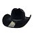 CHAPÉU COUNTRY MONTANA BANDINHA TRADICIONAL FIVELA DOURADA PREMIUM - Imagem 4