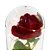 Rosa Encantada com Luz LED – Beleza Eterna para Presentear e Decorar - Imagem 3