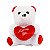 Urso de Pelúcia 17cm com Coração - Imagem 2