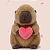 Pelúcia Capivara com coração 25 cm - Imagem 1