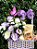 Encanto de lisianthus com rosas e chocolates - Imagem 1