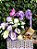 Encanto de lisianthus com rosas e chocolates - Imagem 2