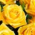 Luxuosas 24 Rosas Amarelas No Vaso - Imagem 5