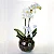 Luxuosa Mini Orquídea  com Lindt Heart - Imagem 3