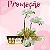 Orquídea Branca  Com Ferrero 100g - Imagem 2