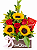 Envelope de Rosas e Girassois com Chocolate - Imagem 2