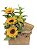 Arranjo Sun com Chocolate Lindt 75 Gramas - Imagem 3