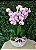 Belíssimo Garden de Orquídea Exótica - Imagem 3