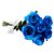 Buquê de 06 Rosas Azul Minimalista - Imagem 1