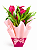 Callas Pink - Imagem 2