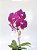 Orquídea Phalaenopsis Pink no vaso de vidro Espelhado - Imagem 3