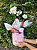 Luxuosa Caixa Box Com Flores, Bebida e Chocolate - Imagem 2