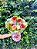 Buquê  clássico  de 12 Rosas Coloridas - Imagem 1