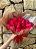 Deslumbrante Buquê de 25 rosas Vermelhas no Crepom Italiano - Imagem 2