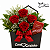 🌹 Envelope Elegance – 4 Rosas Vermelhas com Lindt 100G - Imagem 1