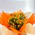 Kalanchoe Laranja com Ferrero Rocher 100g - Imagem 2