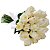 Buquê de 24 Rosas Brancas Minimalistas - Imagem 3