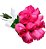 Buquê de 12 Rosas Pink Minimalista - Imagem 3