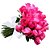 Buquê de 24 Rosas Pink Minimalistas - Imagem 4